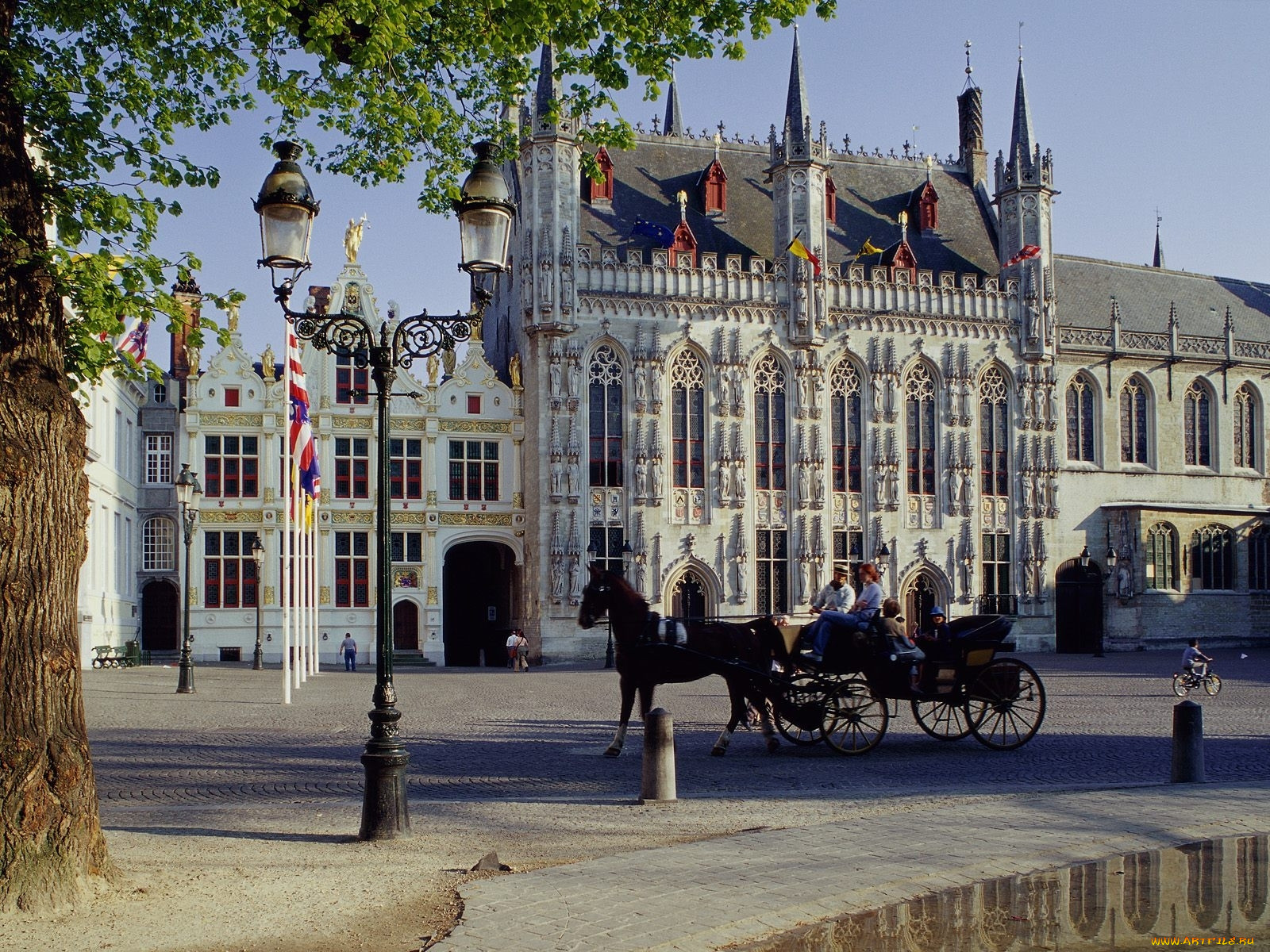 horse, drawn, carriage, town, hall, brugge, belgium, , , 